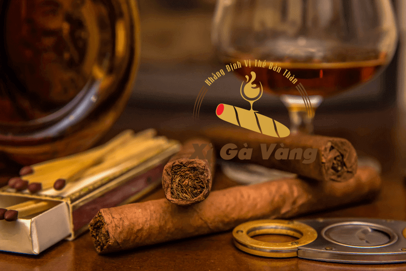 Xì Gà Vàng là đơn vị bán cigar chính hãng